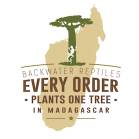 Backwater Reptiles Madagascar tree promotion